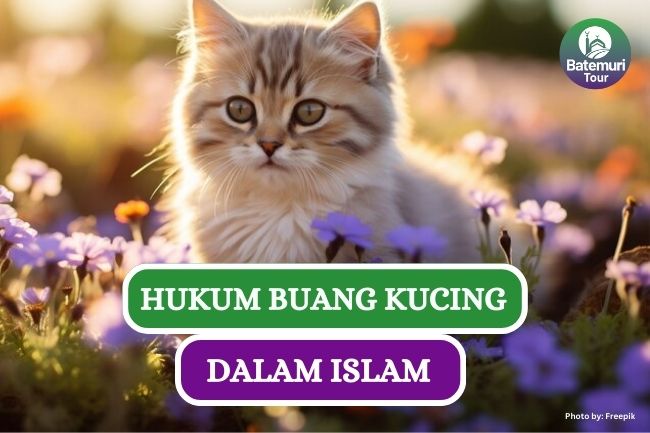 Ini Dia Hukum Buang Kucing dalam Islam, Bagaimana Etikanya??